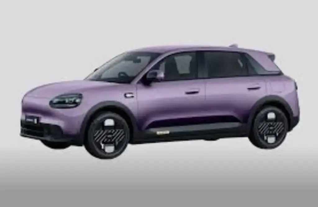 Chery Q