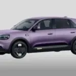 Chery Q